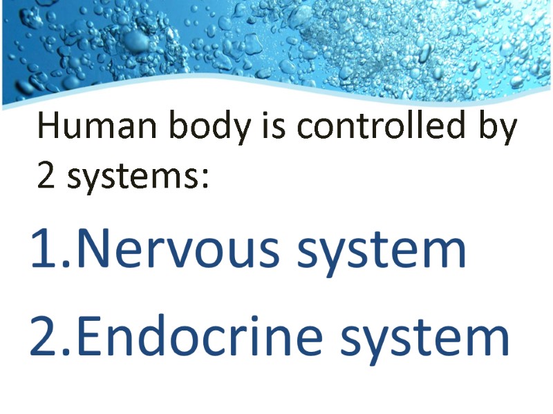 Human body is controlled by 2 systems: Nervous system Endocrine system